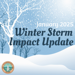 Winter storm impact update graphic with trees